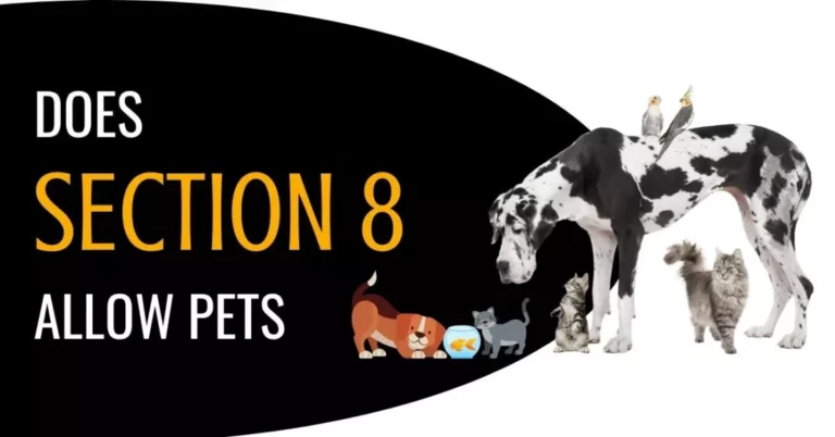 Does Section 8 Allow Pets: Exploring Guidelines and Exceptions