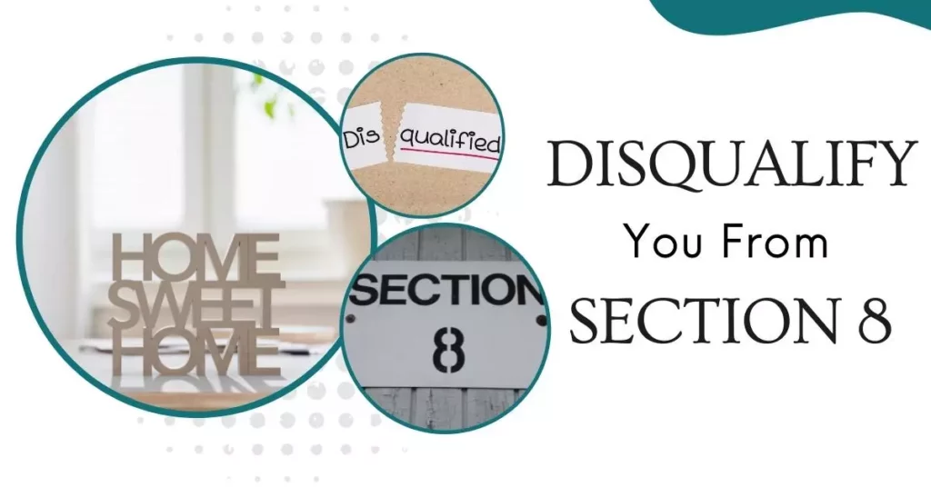 What Will Disqualify You From Section 8
