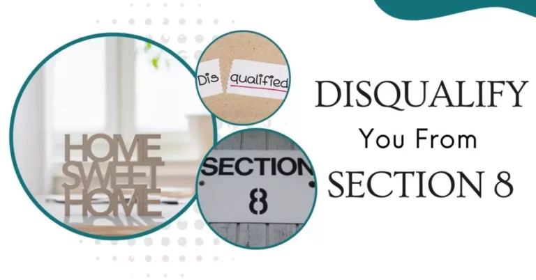 Facts Disqualify You From Section 8: I Bet You Never Knew About