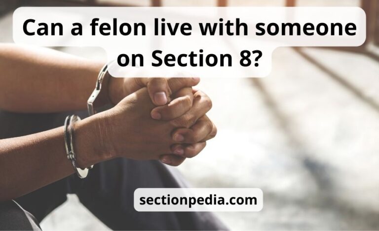 Can a felon live with someone on Section 8: a guide