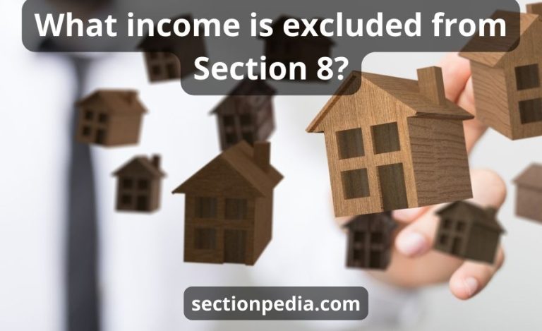 What income is excluded from Section 8: detailed interpretation