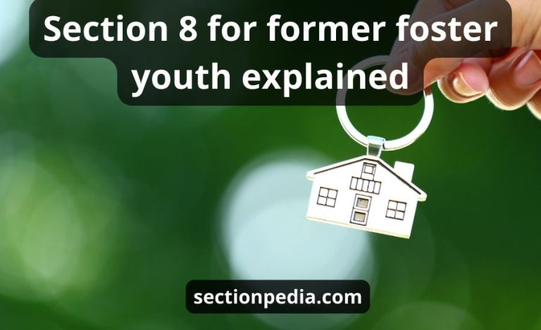 Section 8 for former foster youth explained