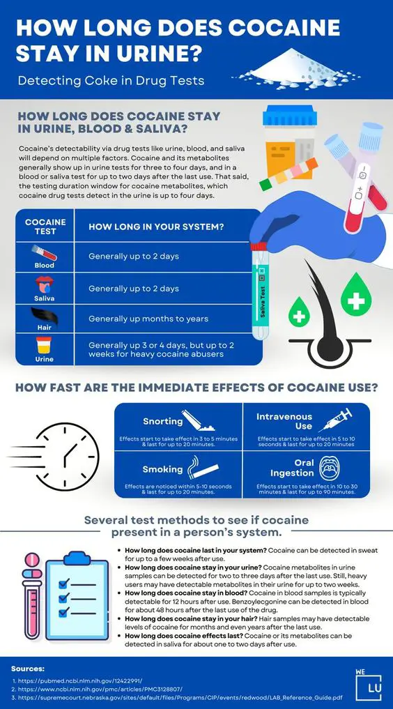 Does UPS Drug Test?